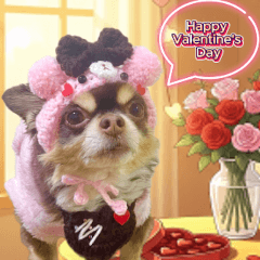 恋するバレンタイン♡くまチワワ