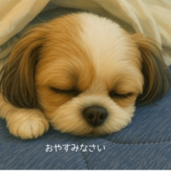 はあちゃんのちいさなひとこと