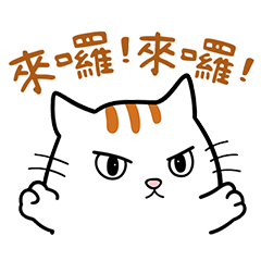 リニア子猫が迎えに来たよ。