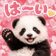 飛び出す♡だいすきパンダ