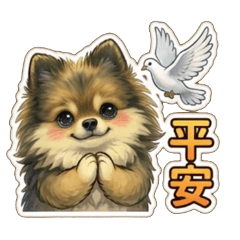 Cutest Pomeranian DuDu