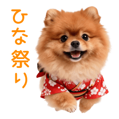 ひな祭りで大発狂ポメラニアン