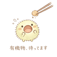 土壌微生物のふわふわ日常