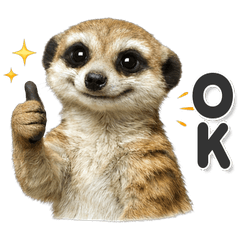 毎日使える！ ミーアキャット