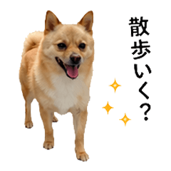 使えるラテぴん集 ver.2