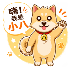 モフモフ柴犬 はちちゃん