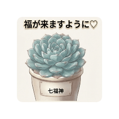 多肉植物エケベリア♡癒やしのLINEスタンプ