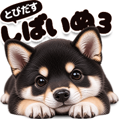 とびだす！しばいぬ3