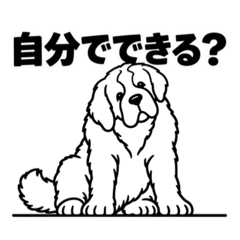 大きな文字のかわいい犬５