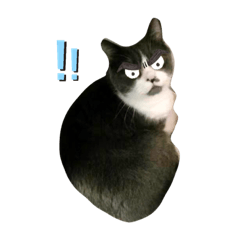 Double_20190927233340