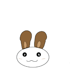 topfy rabbit