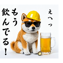 柴犬の現場仕事⭐年中毎日生ビール