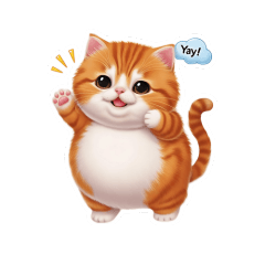 A fat chubby orange cat