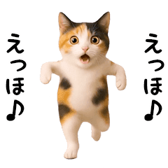 エッホエッホ猫