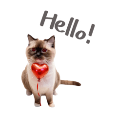 Rita H._20250727133213