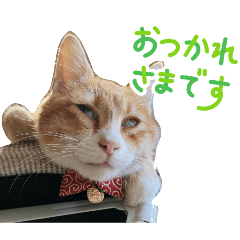 あおいちゃん症候群