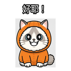 Cute Ragdoll Cat Stickers - Daily Mood