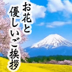 背景に花の風景✨ずっと使える優しいご挨拶