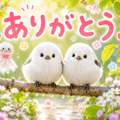 飛び出す♡雨の日シマエナガ
