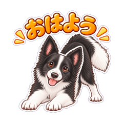 ボーダーコリーハッピーライフ