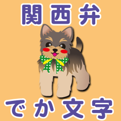 [Yorkshire Terrier]BIG-KANSAI