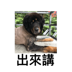 KUANsDaily_20190503211722