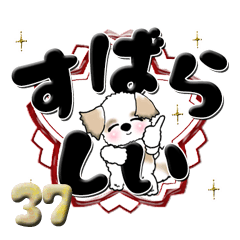 【大きな文字】シーズー犬 37