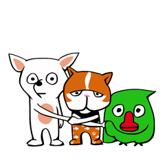 Cat dog and bird