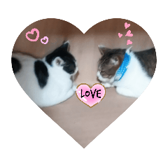 ニャンずLove×2スタンプ