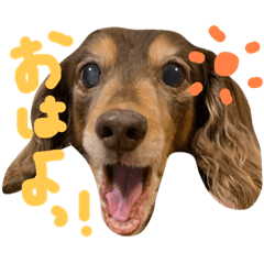 チョコっと一言！