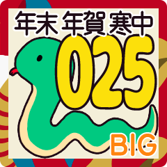 BIG 年賀状 年末年始挨拶 セット 巳年 2025