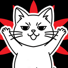 Tsundere and simpie cat