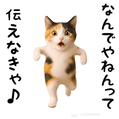 エッホエッホ猫（関西弁）