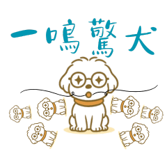 Comfortable cute dog