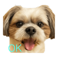 まろんと一緒よん