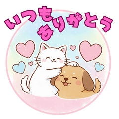 にゃんわん夫婦のハッピーライフ、愛と感謝