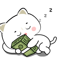 British Shorthair Cat 9