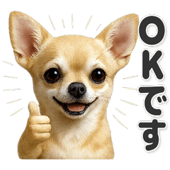 【敬語】使いやすい！チワワ