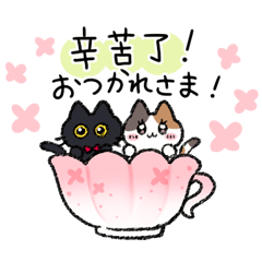 日常の【台湾華語と日本語】黒猫と三毛猫