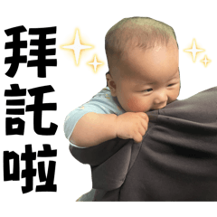 Daily life of a 6-month-old baby