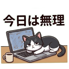 家から出たくない☆ハチワレ