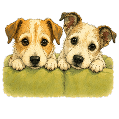 Rin and Hime - Jack Russell Terrier3