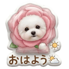 お花の着ぐるみマルチーズちゃん