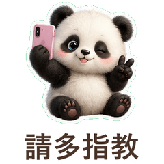 Baby Panda: Chinese Daily Words