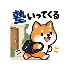 Shiba Cram School Return