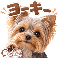 とびだす★ヨークシャーテリア ヨーキー 犬