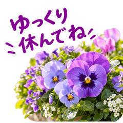 離れて暮らす親へ　花だより～夜に送る