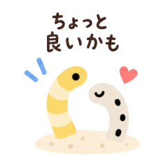 可愛いチンアナゴのちょっと〇〇かも♡