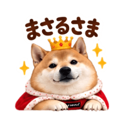 柴犬まさるの日常。