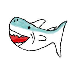 miscellaneous sharks